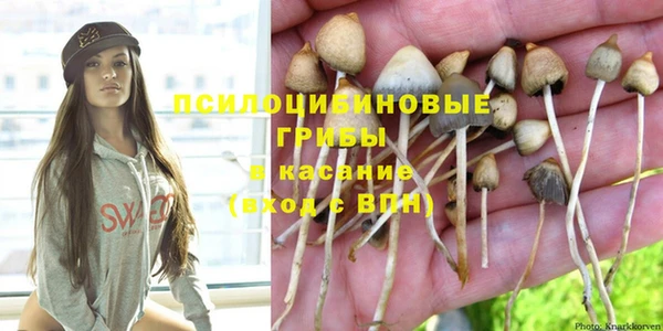 меф Белокуриха