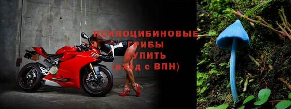 ALPHA PVP Медногорск