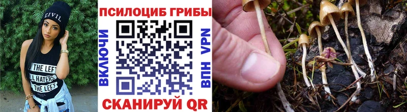 как найти закладки  Реутов  blacksprut ссылки  Галлюциногенные грибы ЛСД 